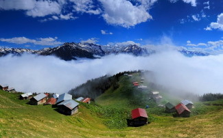Yüksek Rakım Balı Neden Daha Değerlidir?